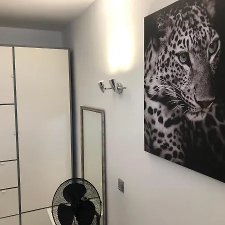 Apartment Aloe Laurent-gael *